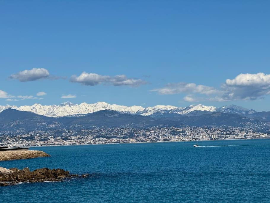 Cosy 2 Pieces Elegant Proche Gare Et Port Vauban Apartment *